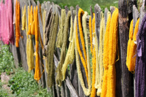 exploring natural dyes