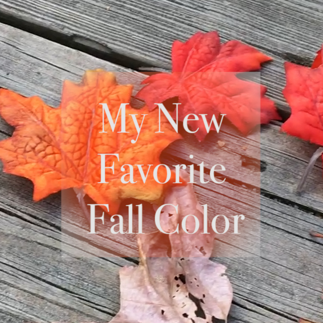 Tandori Spice Is The New Favorite Fall Color