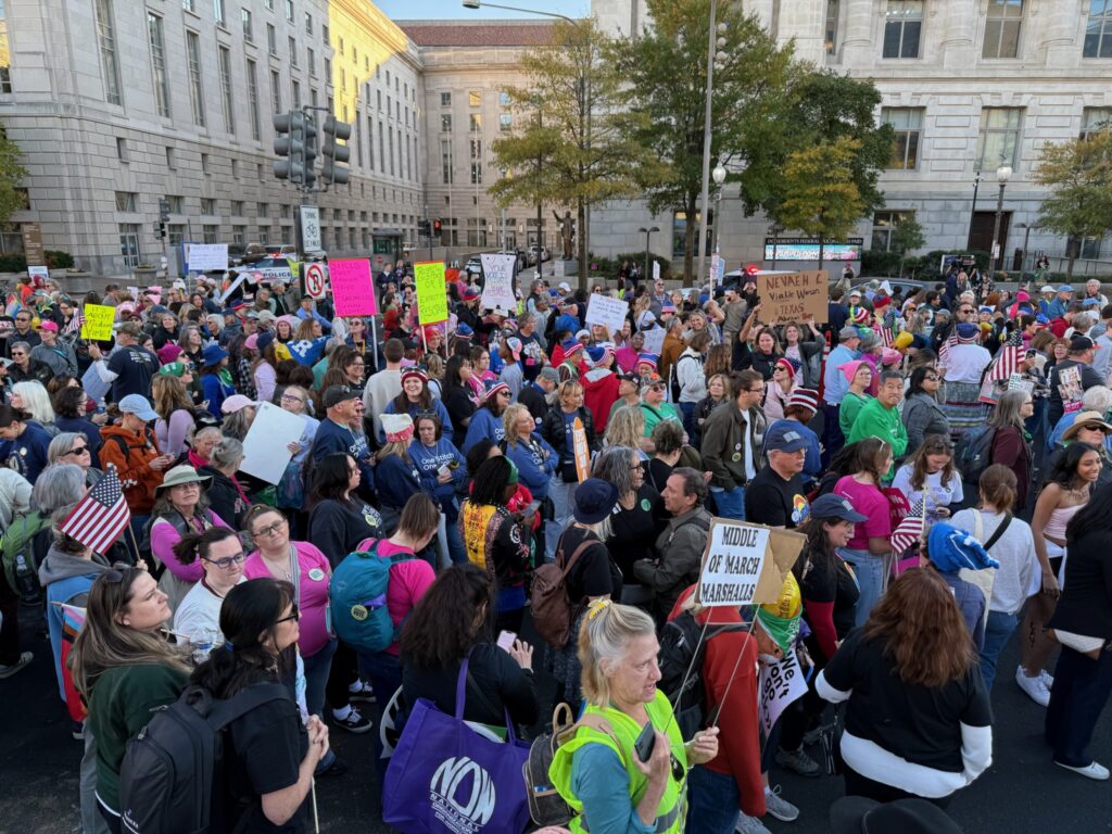 Patriotic Hats at the Women's March, November 2, 2024